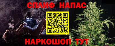 стафф Котовск