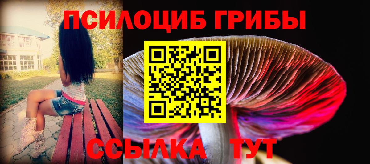 Можга  Галлюциногенные грибы Psilocybine cubensis  Псилоцибиновые грибы ЛСД  цены   Вход с VPN 