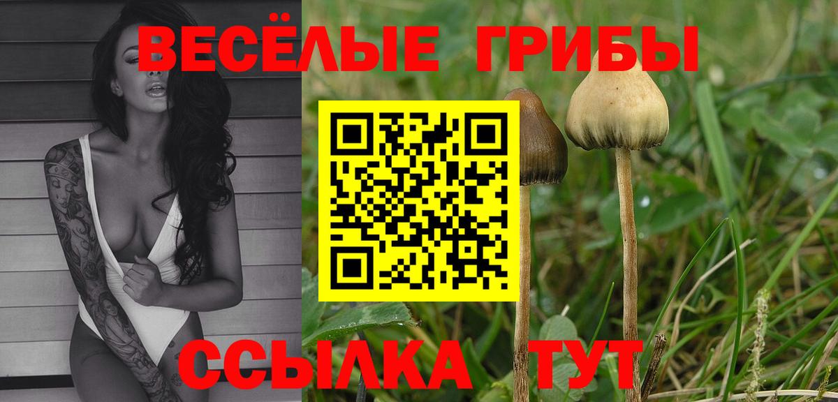 Галлюциногенные грибы ЛСД Можга